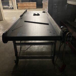 MASS INTERNATIONAL NPP ( 90X290 CM)
